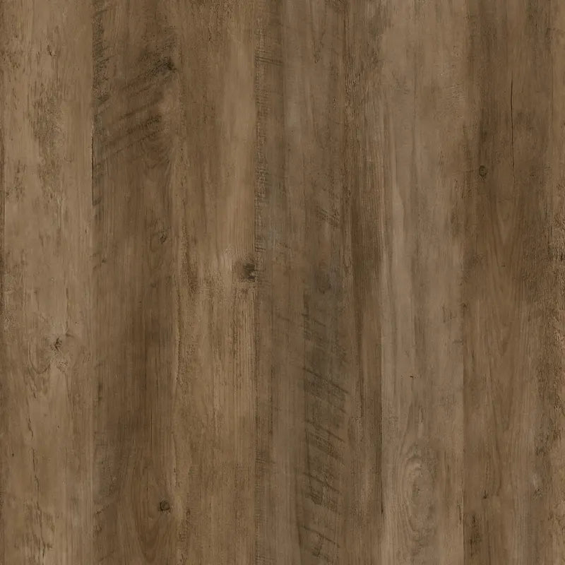 Cabot Tall Bathroom Storage Cabinet with Doors by Bush Furniture