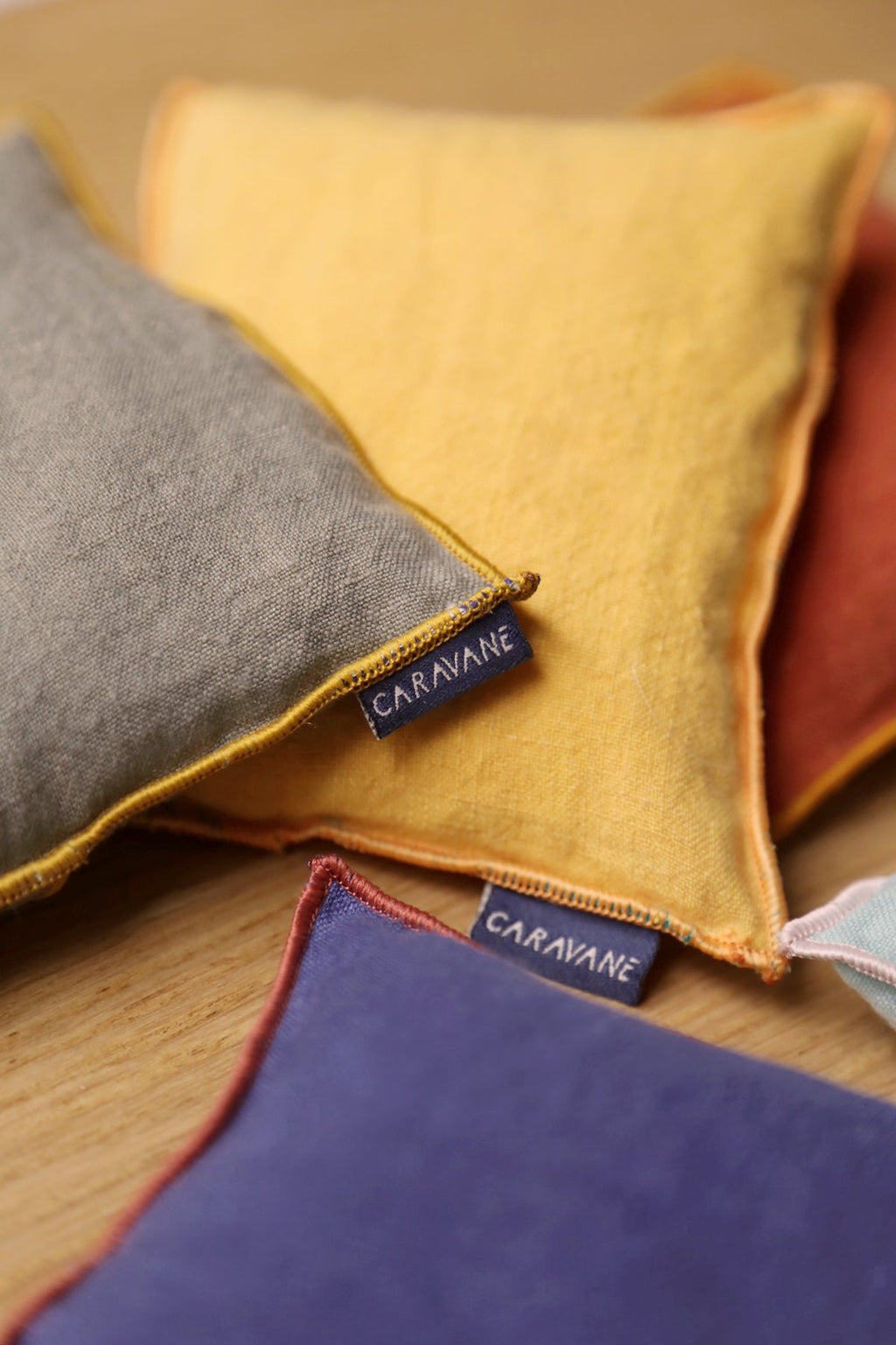 Imaginary Journey Cushions