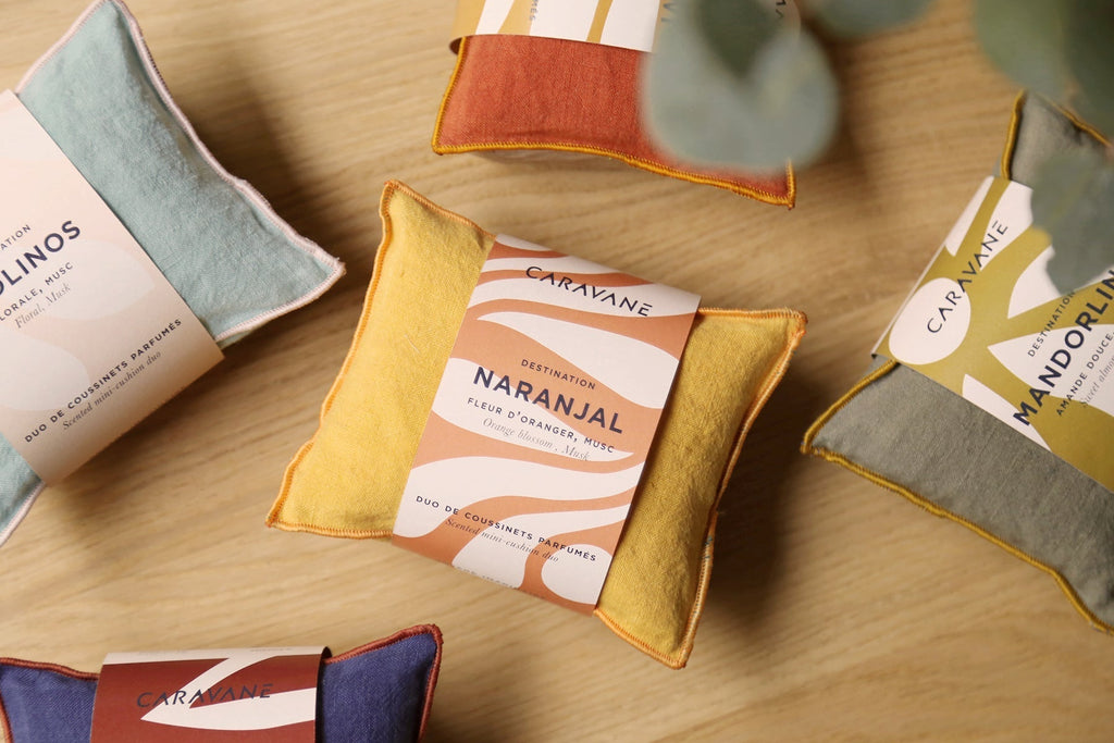 Imaginary Journey Cushions