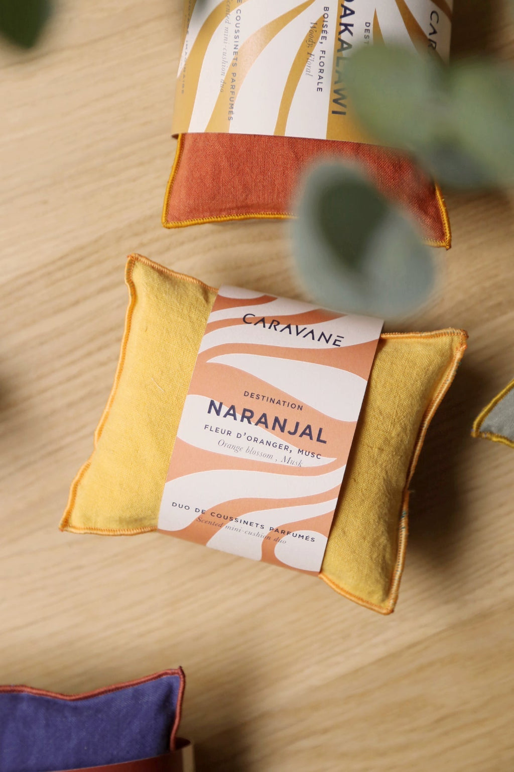 Imaginary Journey Cushions