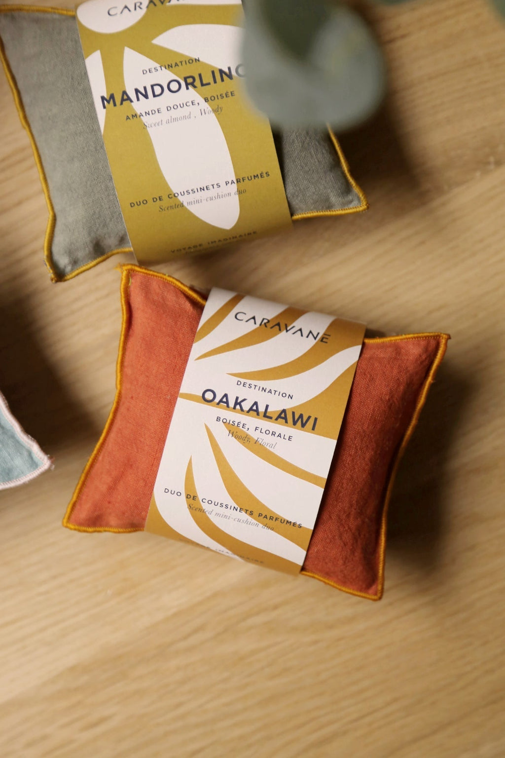 Imaginary Journey Cushions