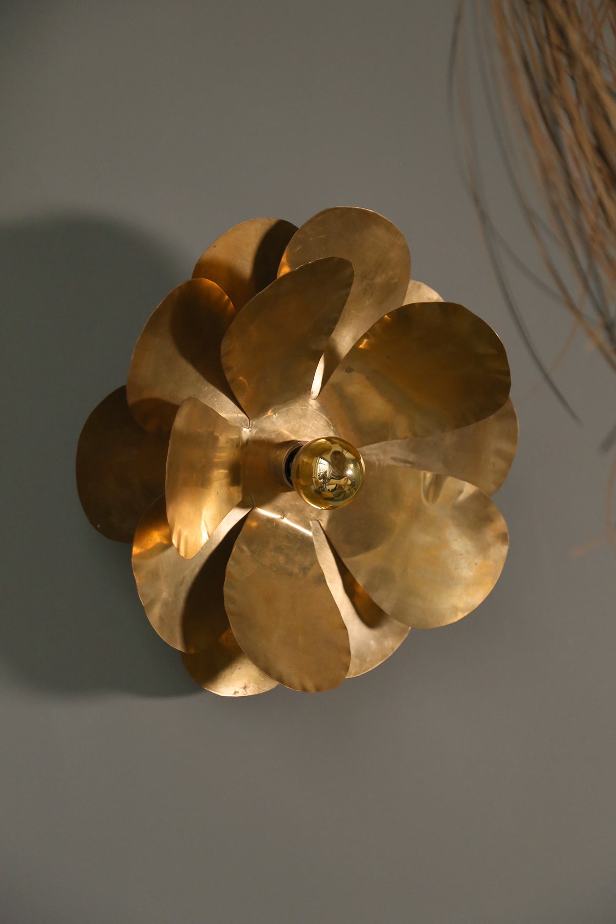 Cosmos Wall Sconce