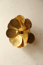 Cosmos Wall Sconce