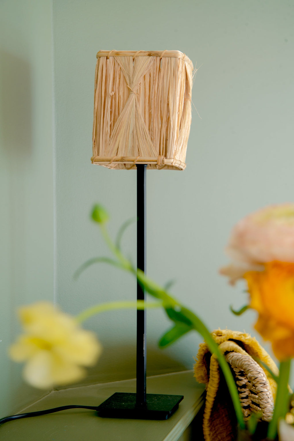 Tara Munja Lampshade