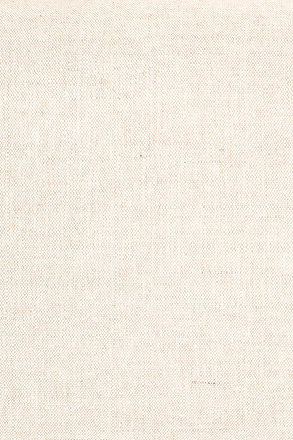 Wild Linen fabric sample