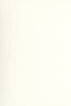 Wild Linen fabric sample