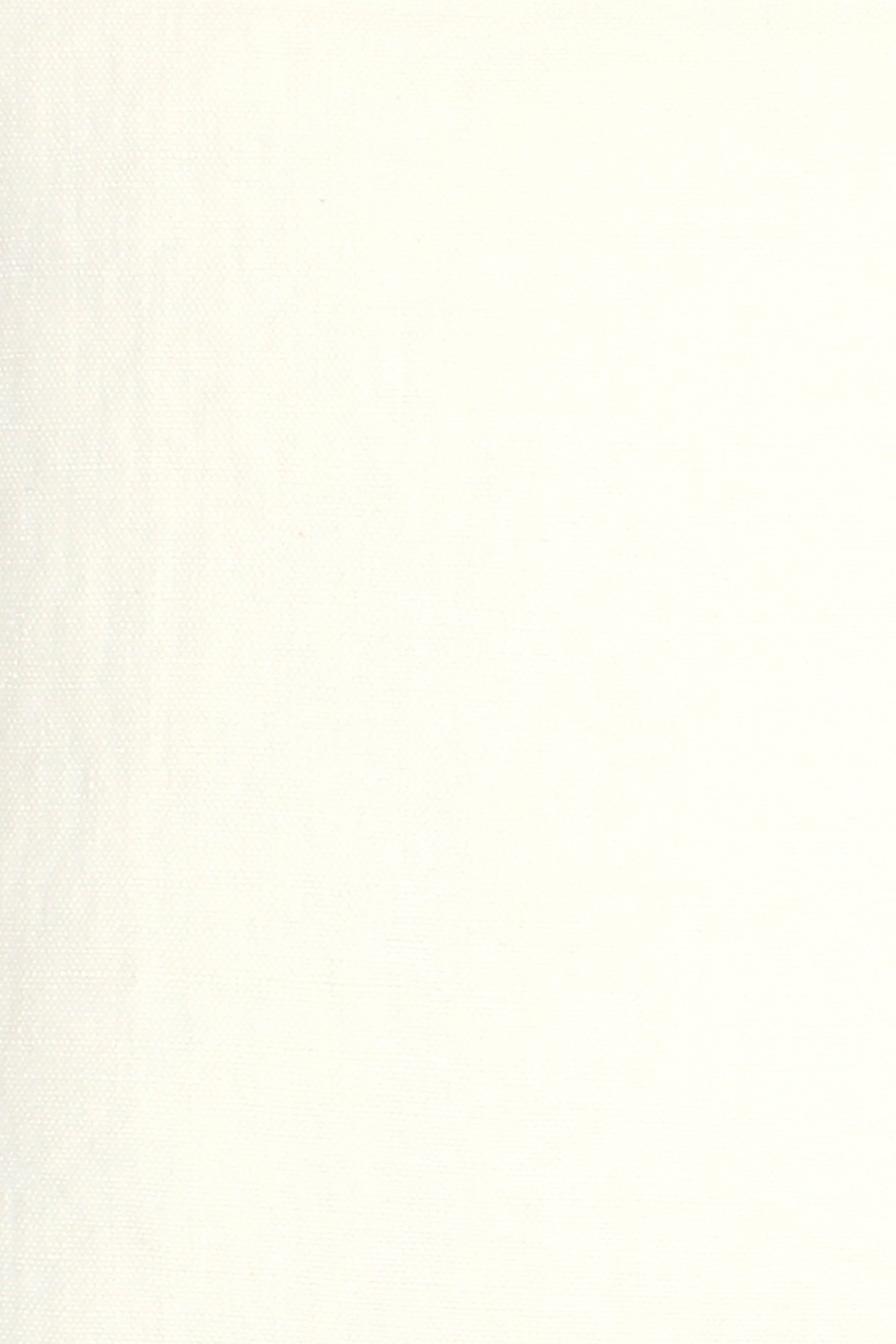 Wild Linen fabric sample