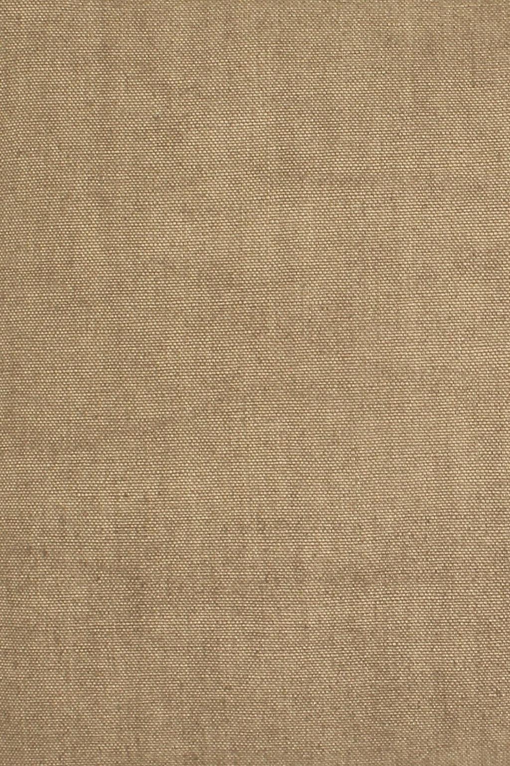 Wild Linen fabric sample