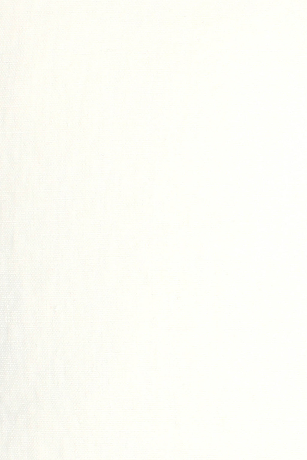 Wild Linen fabric sample