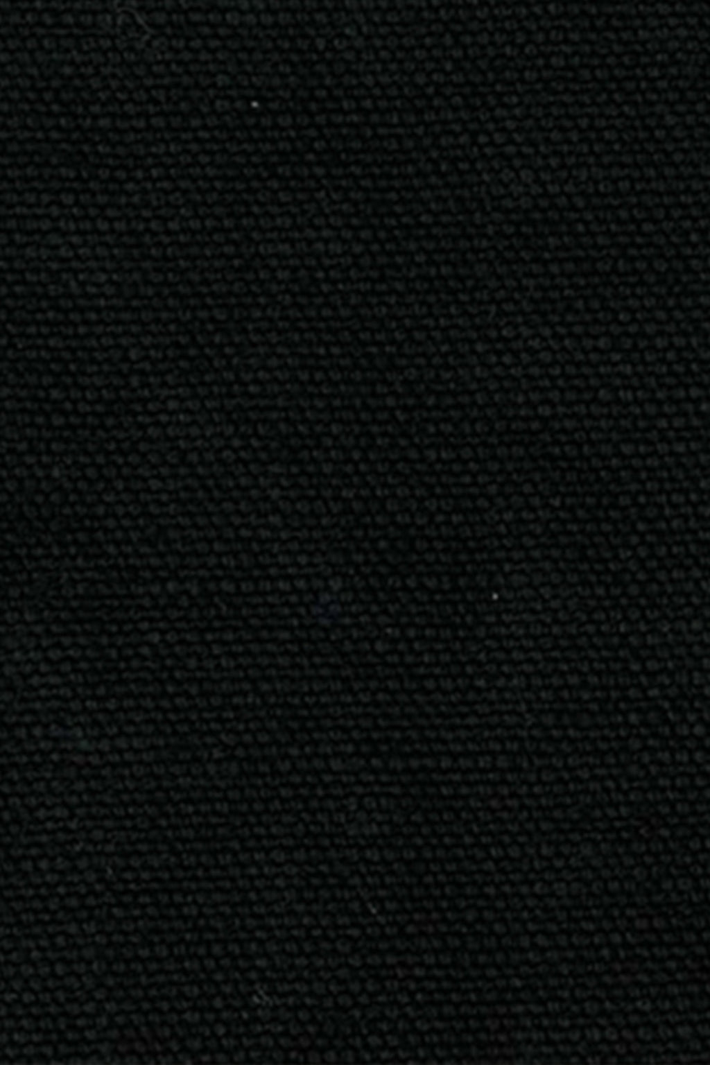 Wild Linen fabric sample