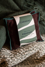 Imaginary Journey Cushions