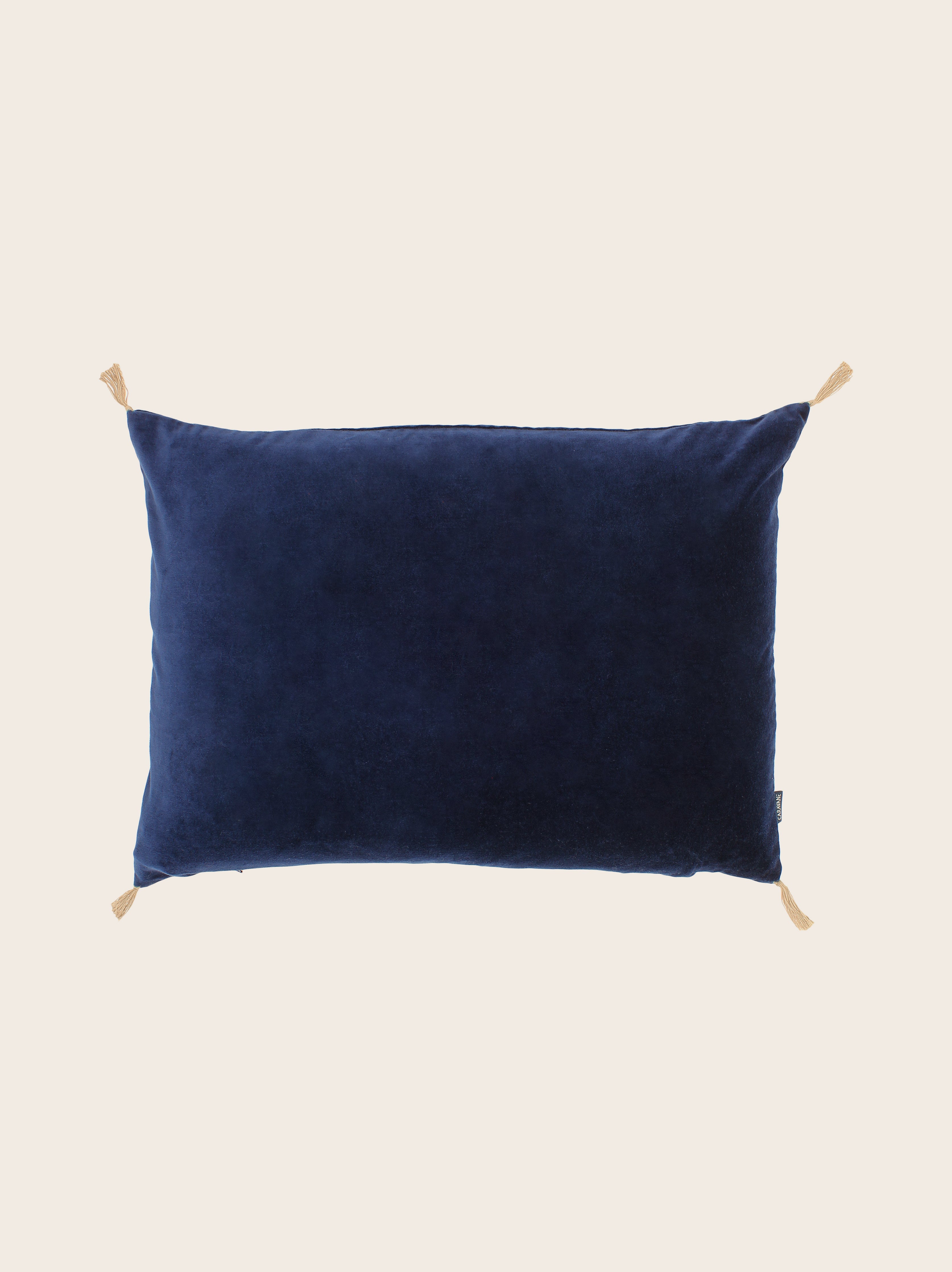 Washed velvet cushion cover