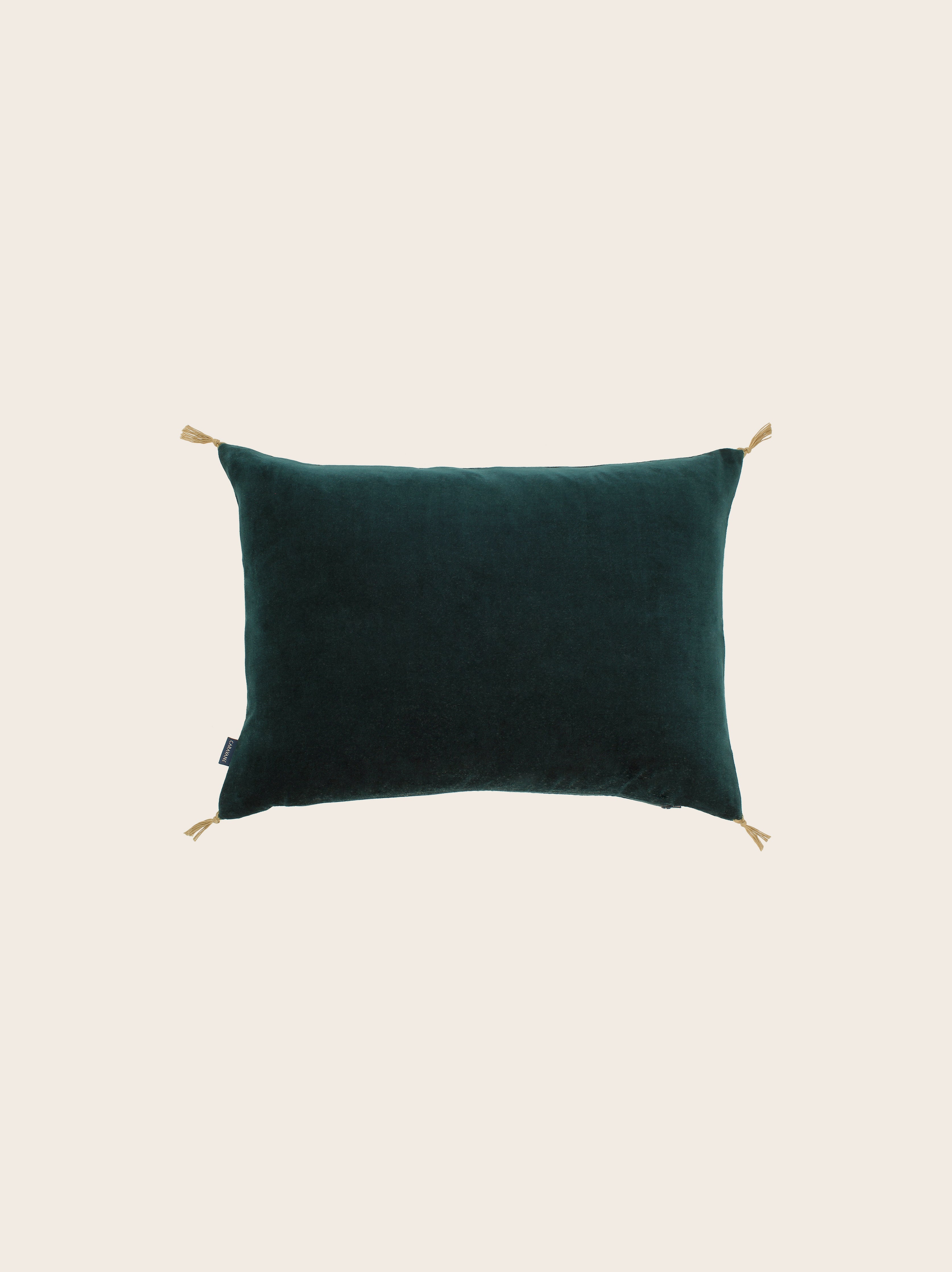 Washed velvet cushion cover