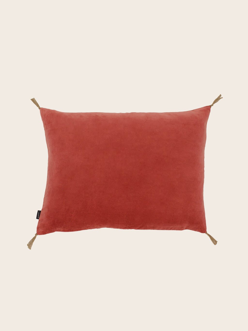 Washed velvet cushion cover