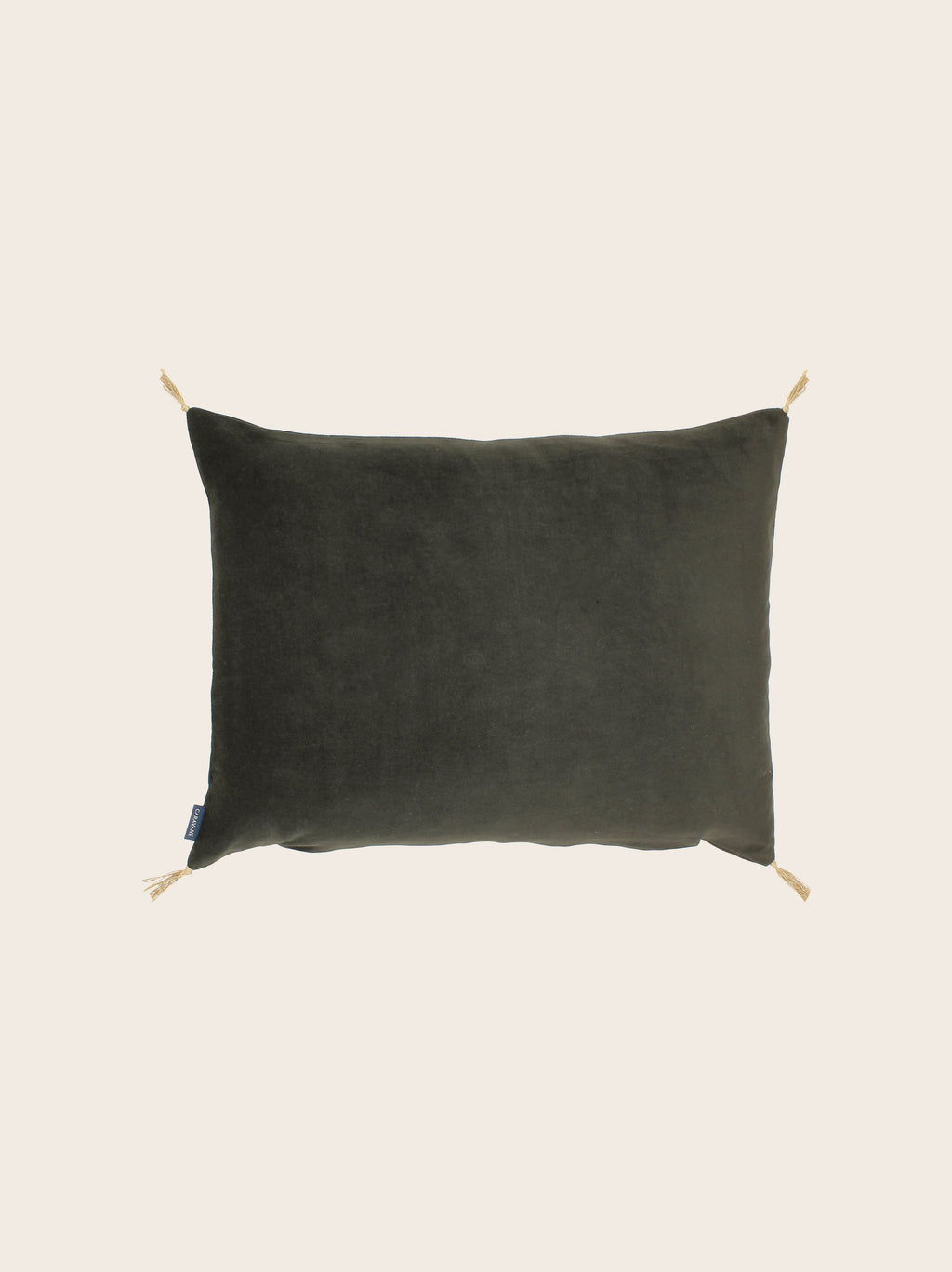Washed velvet cushion cover