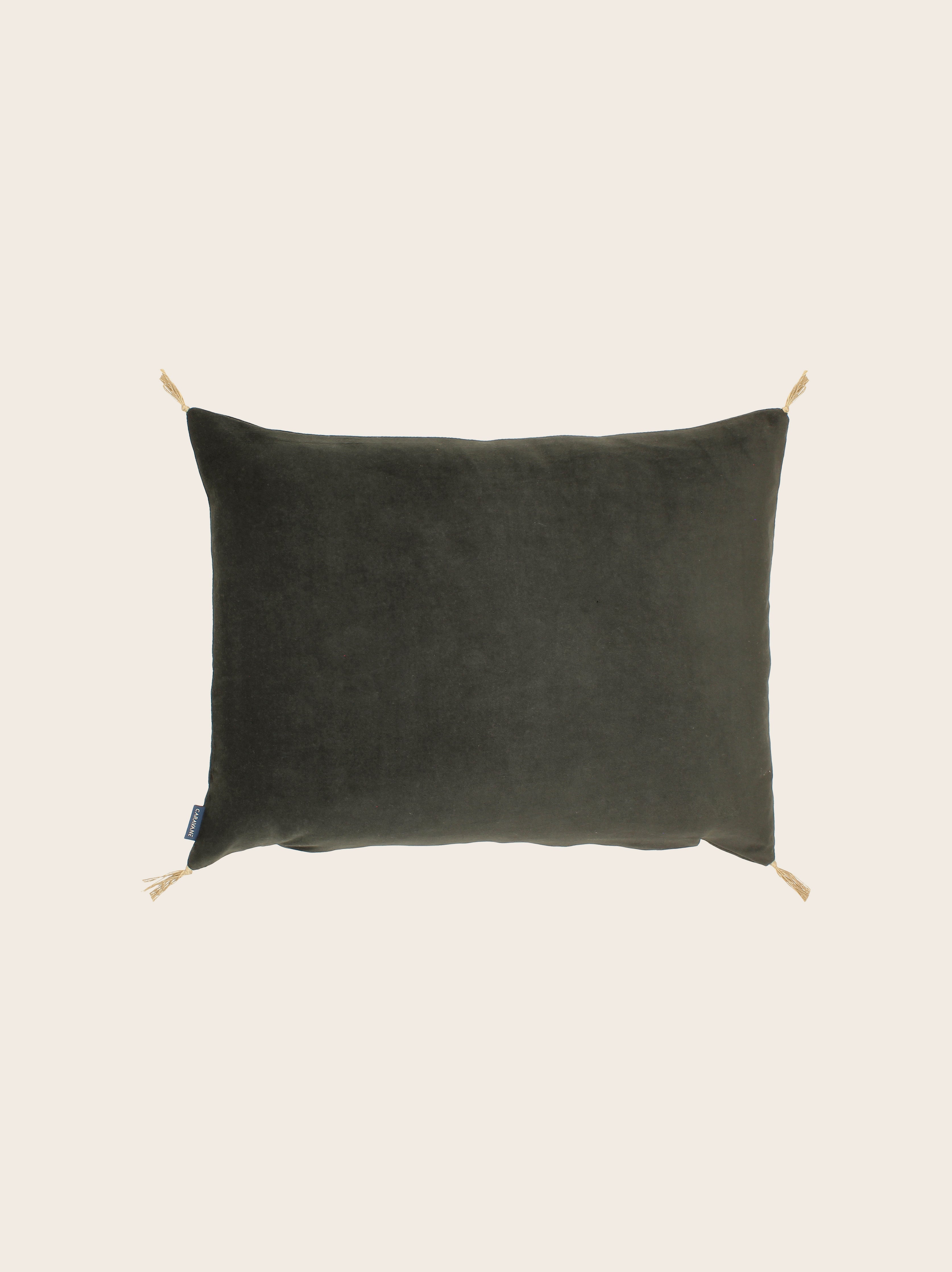 Washed velvet cushion cover