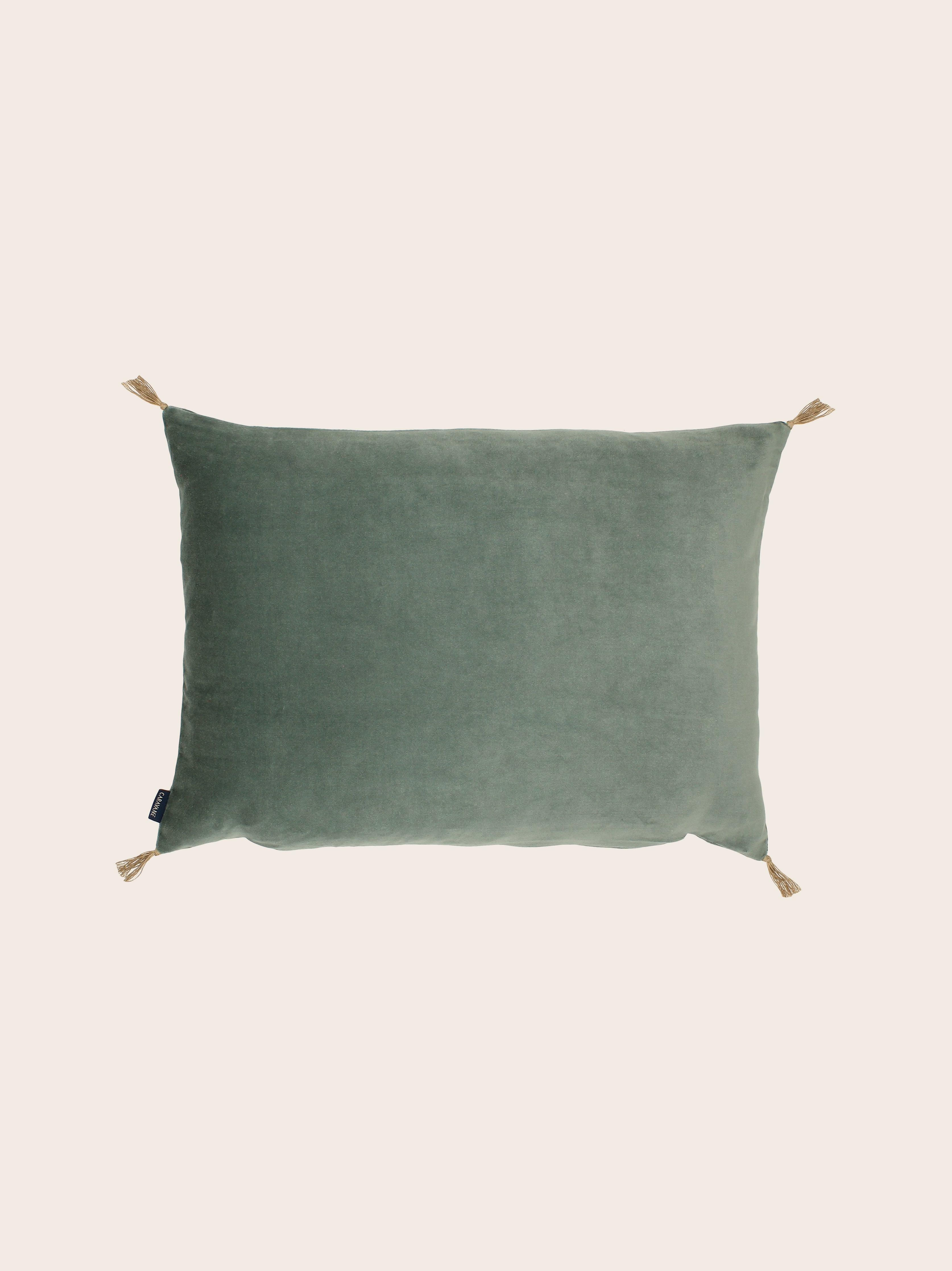 Washed velvet cushion cover