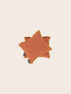 Imaginary Journey Cushions