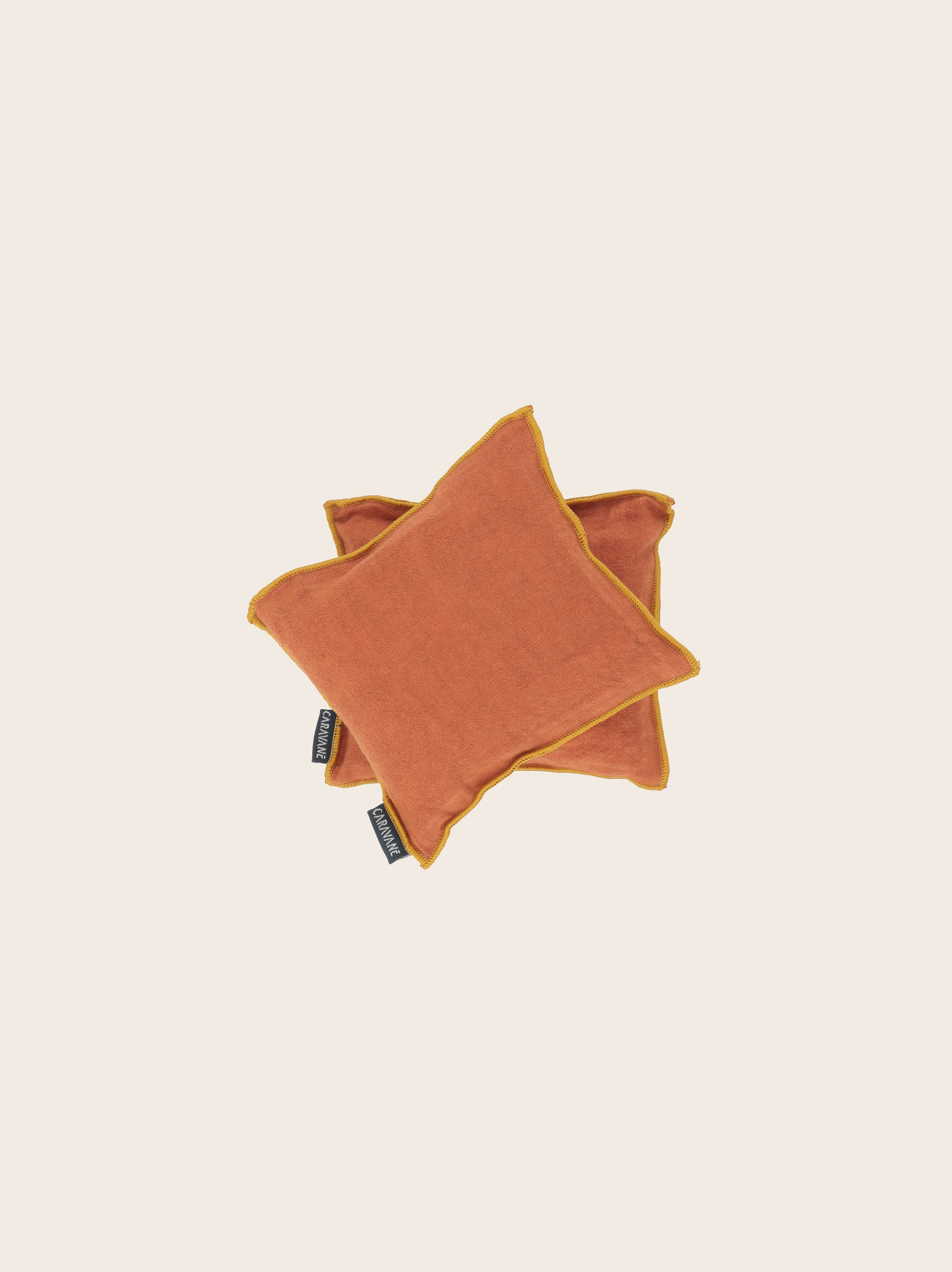 Imaginary Journey Cushions