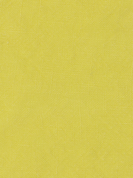 Selena fabric sample