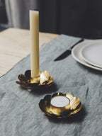Cosmos Candlestick